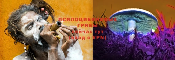 ГАЛЛЮЦИНОГЕННЫЕ ГРИБЫ Бронницы